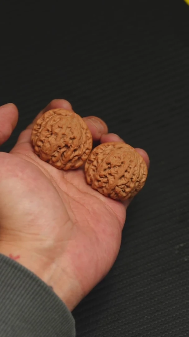 2025核桃季精品大粗筋36