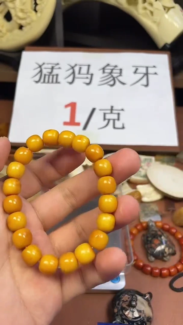 猛犸老三11*10老型单株
