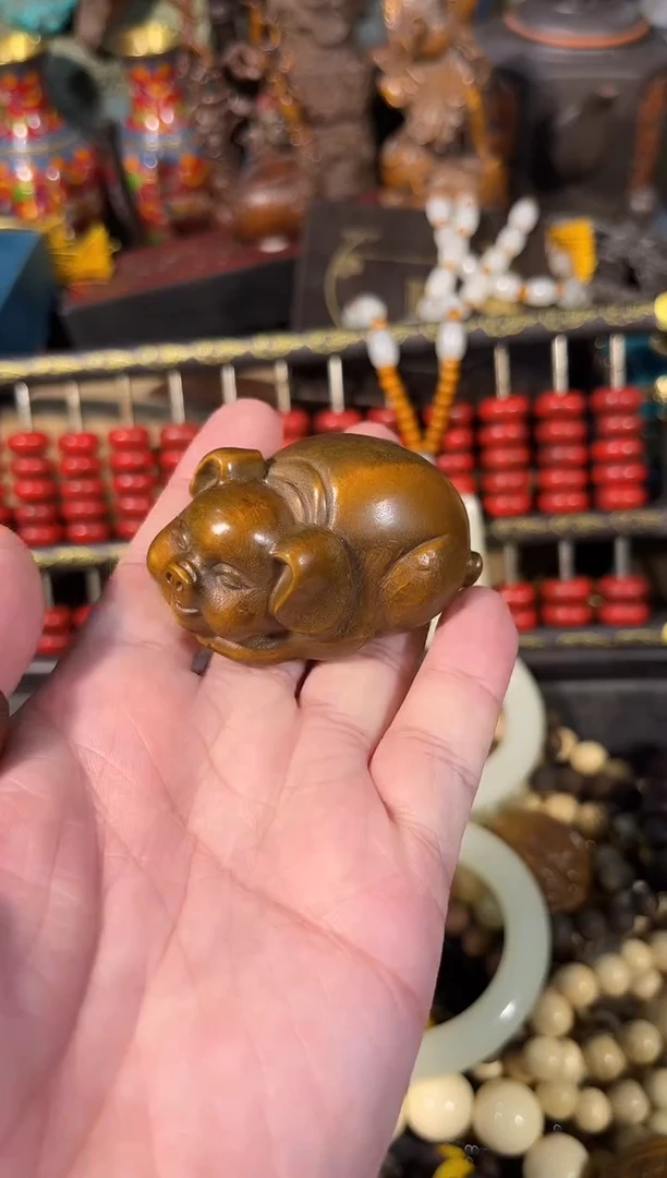 黄杨木1111111111111111111