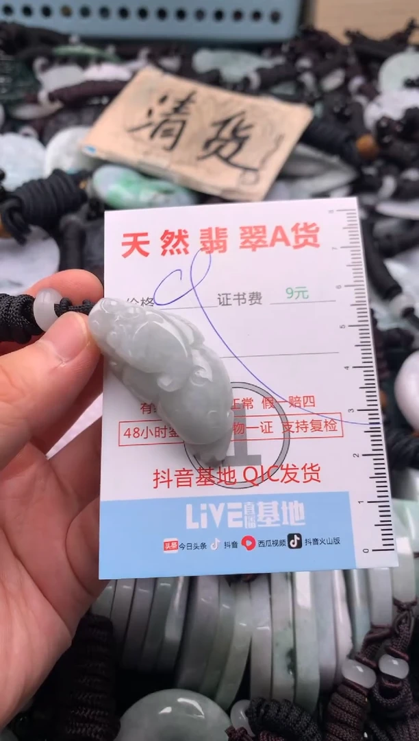 翡翠未镶嵌吊坠(不含链)1