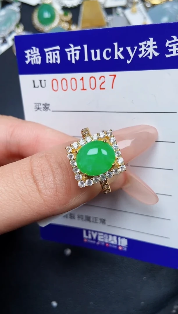 【闪购商品】翡翠颈饰银S925镶嵌1027