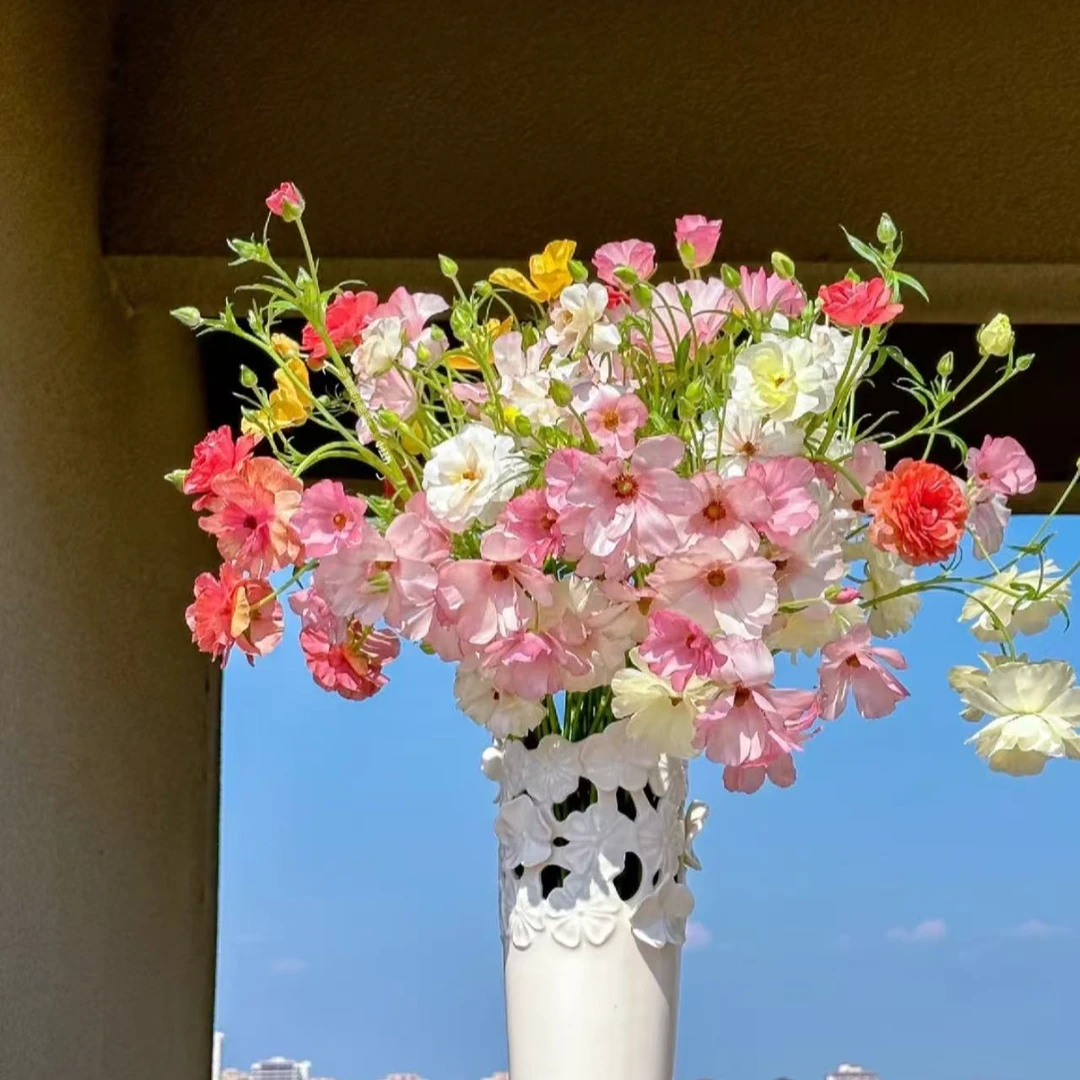 蝴蝶洋牡丹【两单及以上升级顺丰】云南鲜花  家庭插花