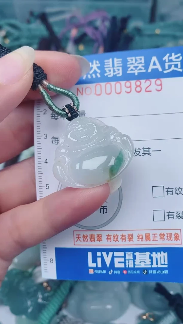 颈饰未镶嵌翡翠00009829