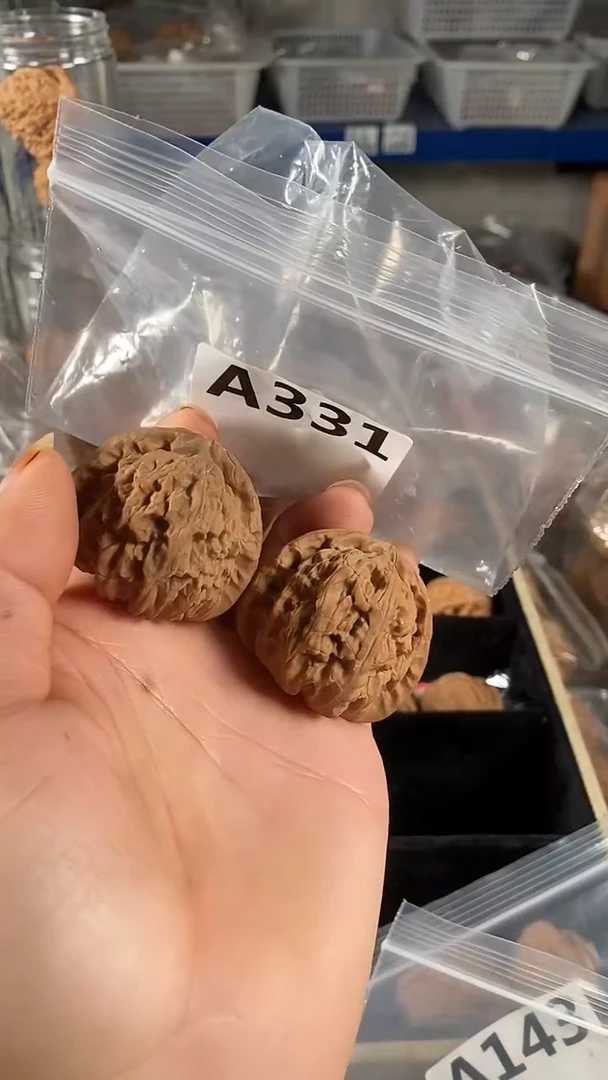 把件文玩核桃43白狮子