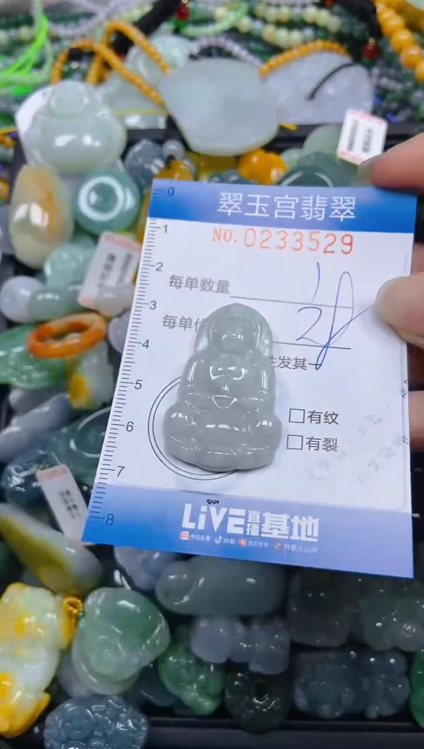 颈饰未镶嵌翡翠闪购C0233529