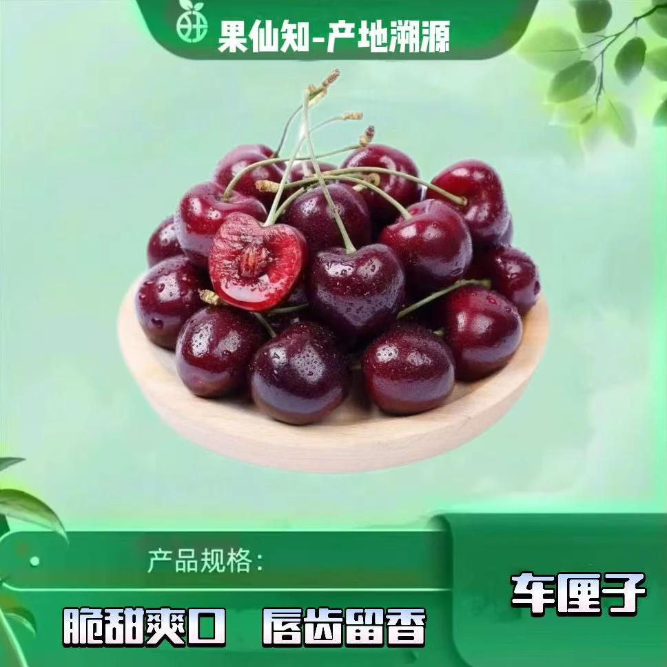 【空运-桑提娜-3JD-净重5斤-原箱】桑提娜樱桃智利共和国