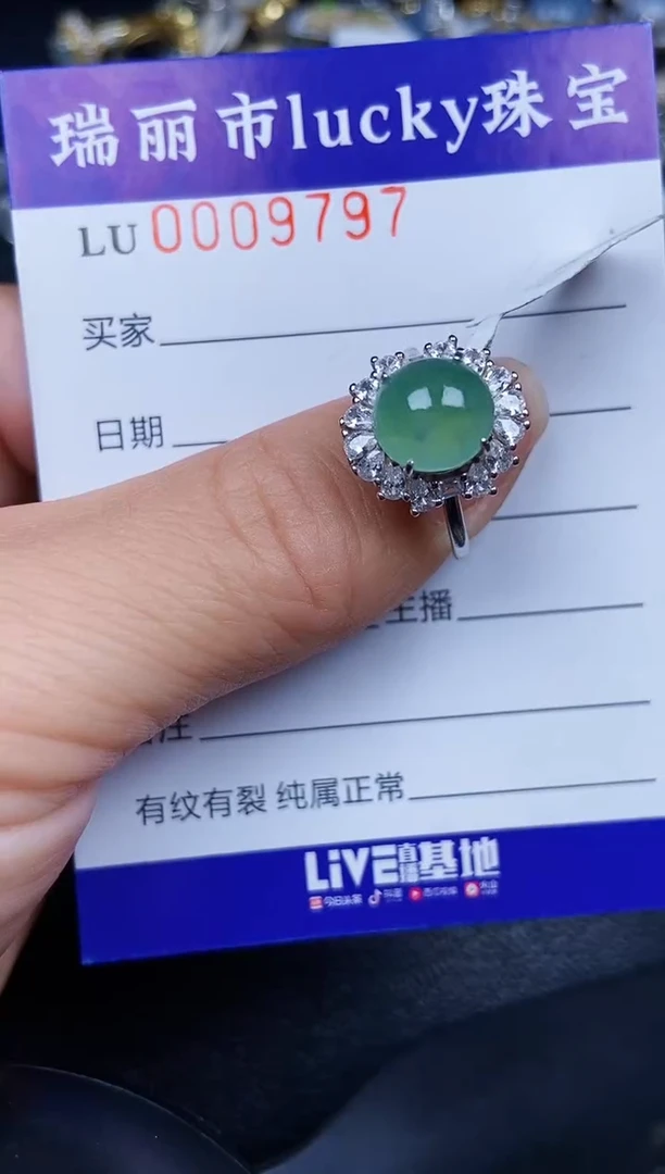 翡翠银S925镶嵌颈饰9797