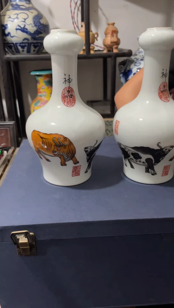 瓷片主播推荐精选好物