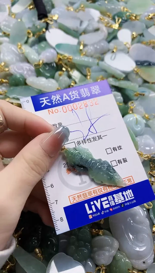 颈饰未镶嵌翡翠纯天然a货翡翠