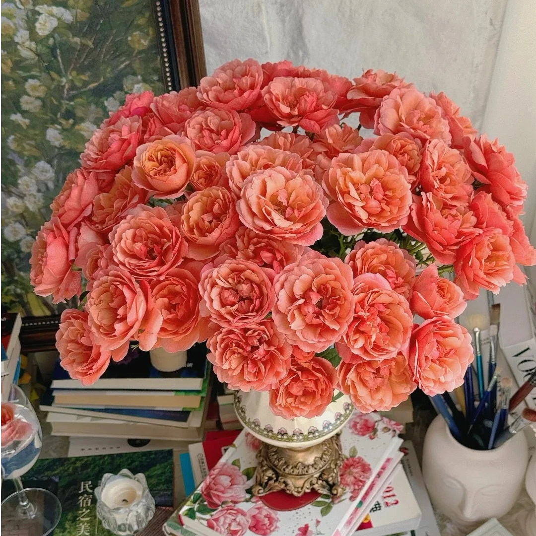 桃红果汁【花王多头】不耐运输，请凑单升级快递保护花花