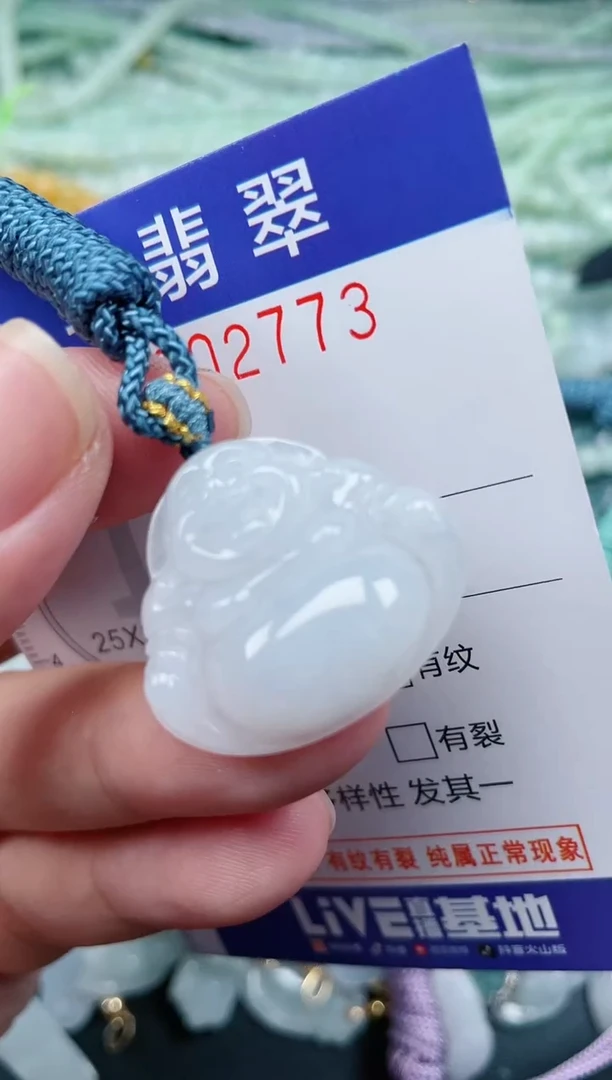 翡翠未镶嵌颈饰.0002773