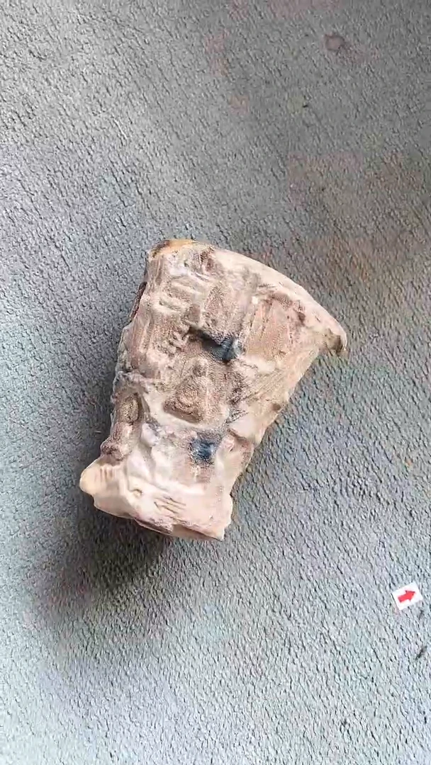 【闪购商品】瓷片陶瓷茶器福利61