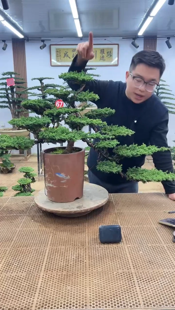无花朵用****900000000000000000
