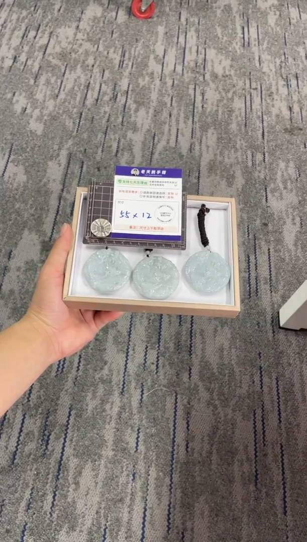 颈饰未镶嵌翡翠龙牌配绳11/多样性发其一CP
