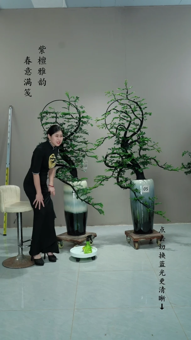 无花朵碧****彬一对花好月圆