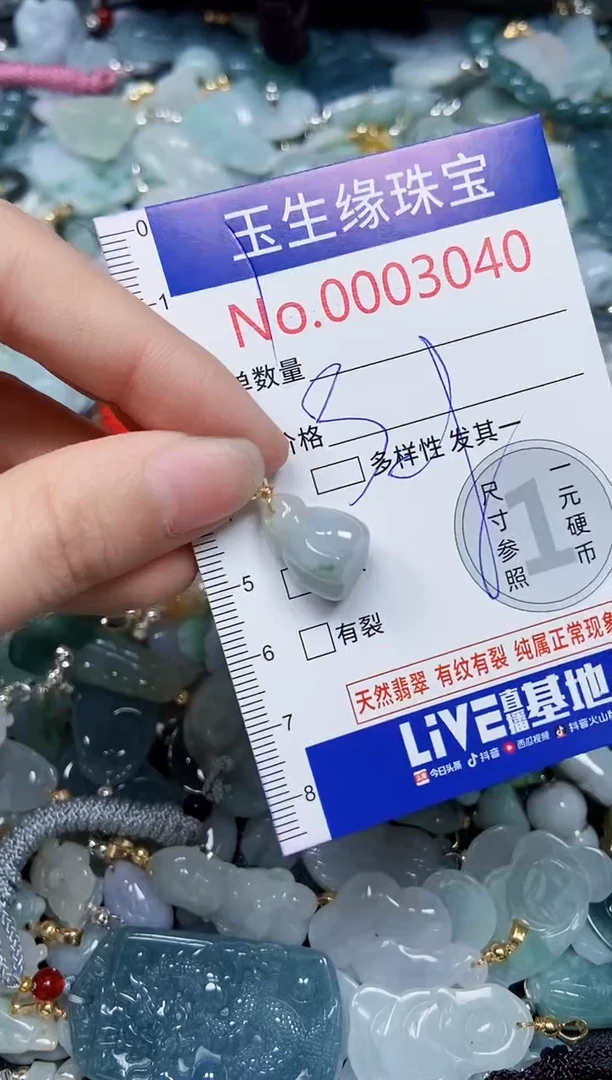 【闪购商品】翡翠颈饰未镶嵌闪购00003040