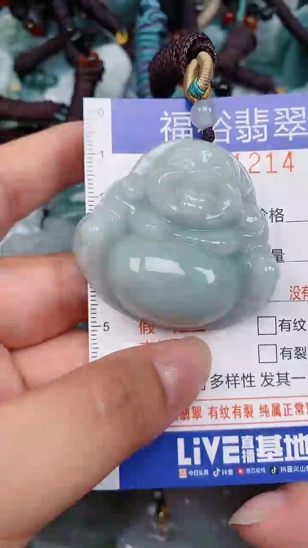 翡翠未镶嵌颈饰...0001214