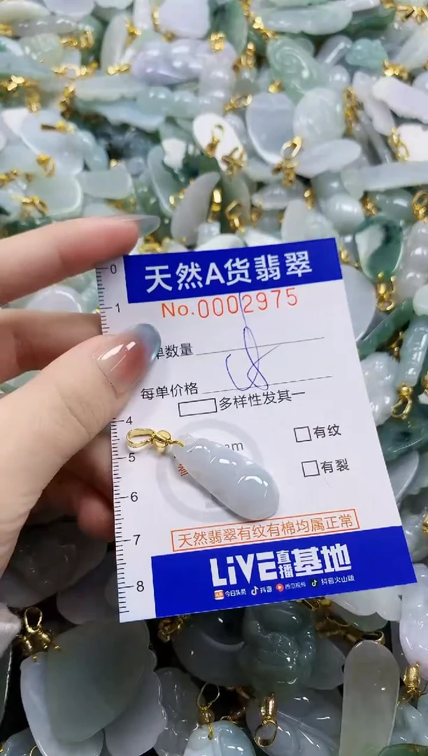 颈饰未镶嵌翡翠纯天然a货翡翠