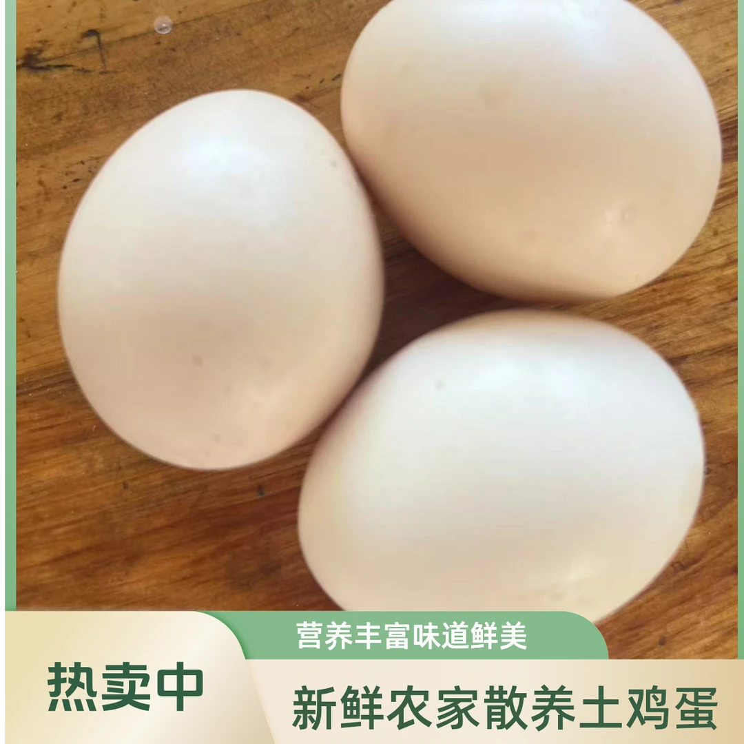 文仙洞农户散养鸡正宗土鸡蛋