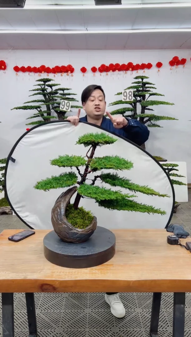 【闪购商品】盆景盆景