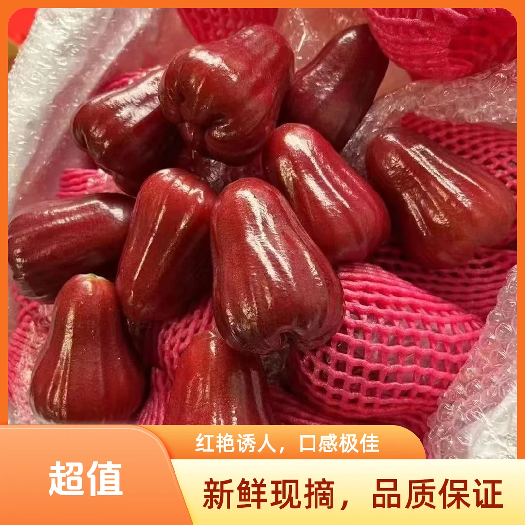 【顺丰次日达】海南黑金刚莲雾清甜爆汁清脆爽口水分足新鲜水果