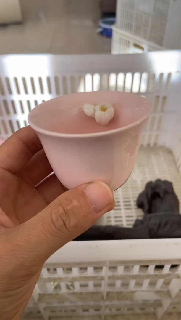 杯无运费险有瑕疵的摄影的产品有使用过的痕迹有点脏介意勿拍