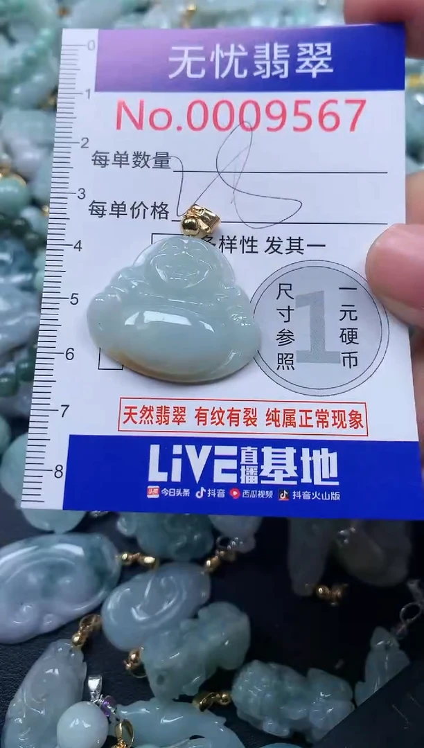 颈饰未镶嵌翡翠9567