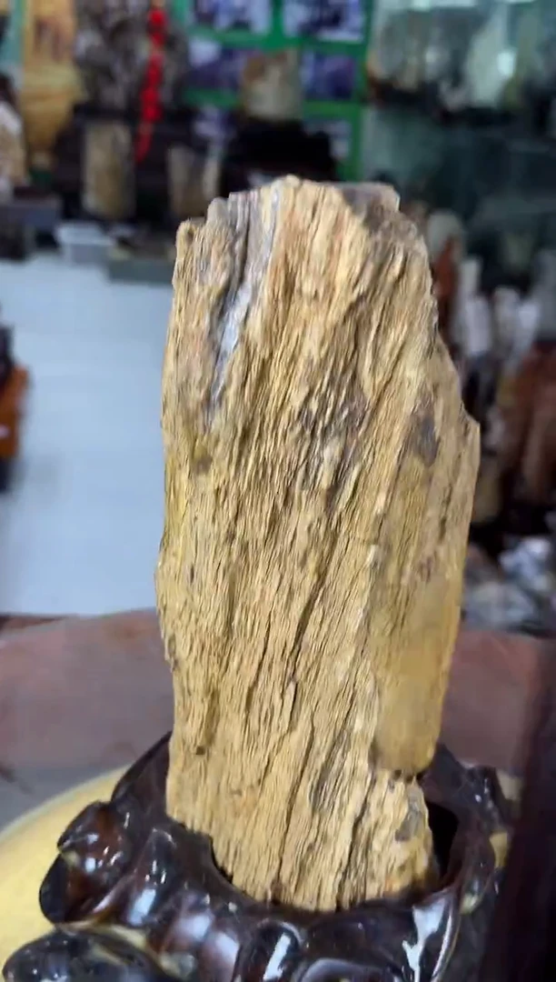 缅甸天然树化玉摆件