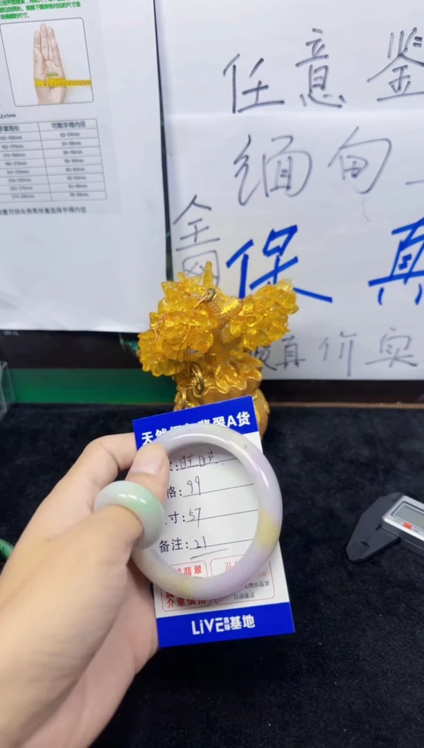 未镶嵌手镯翡翠旺****?21