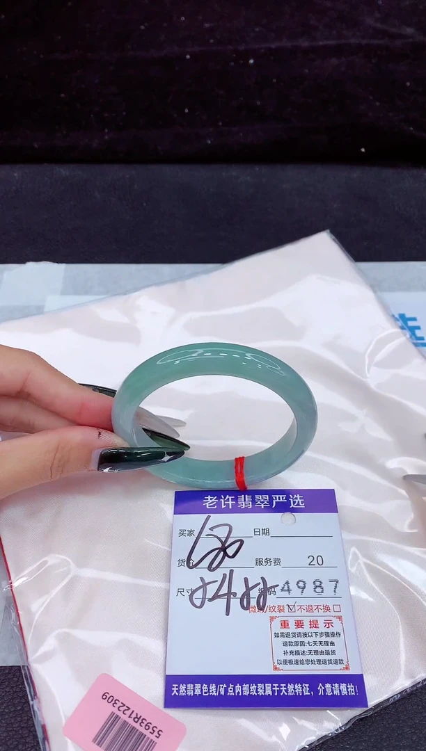 未镶嵌手镯翡翠1