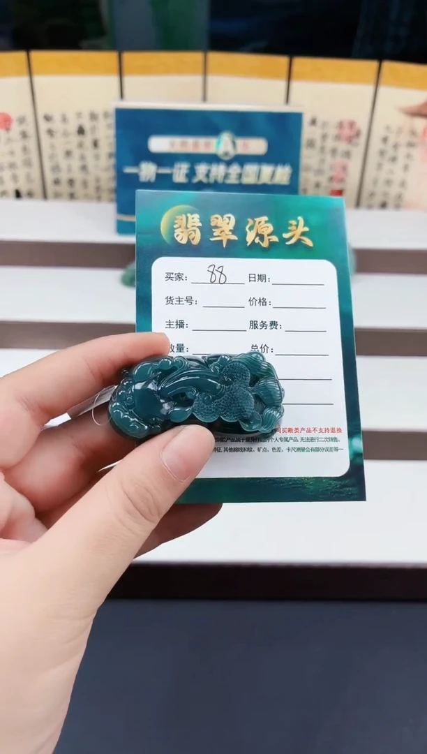 翡翠未镶嵌颈饰DLZ25072588