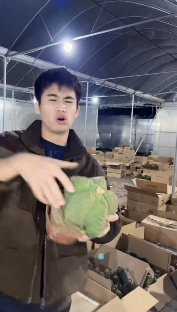 【闪购商品】大号 鸾凤玉 8-10cm