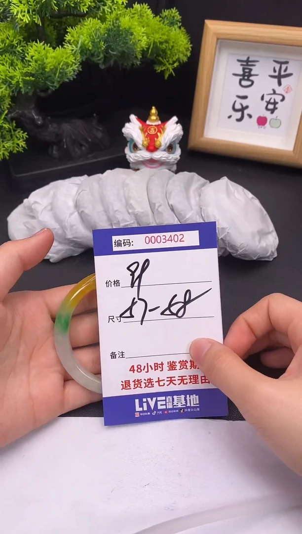 未镶嵌手镯翡翠0003402