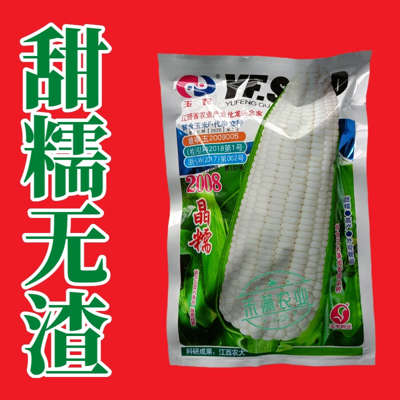 玉农晶糯2008白糯玉米种子审定200g大包装大棒杂交香甜白玉米种籽