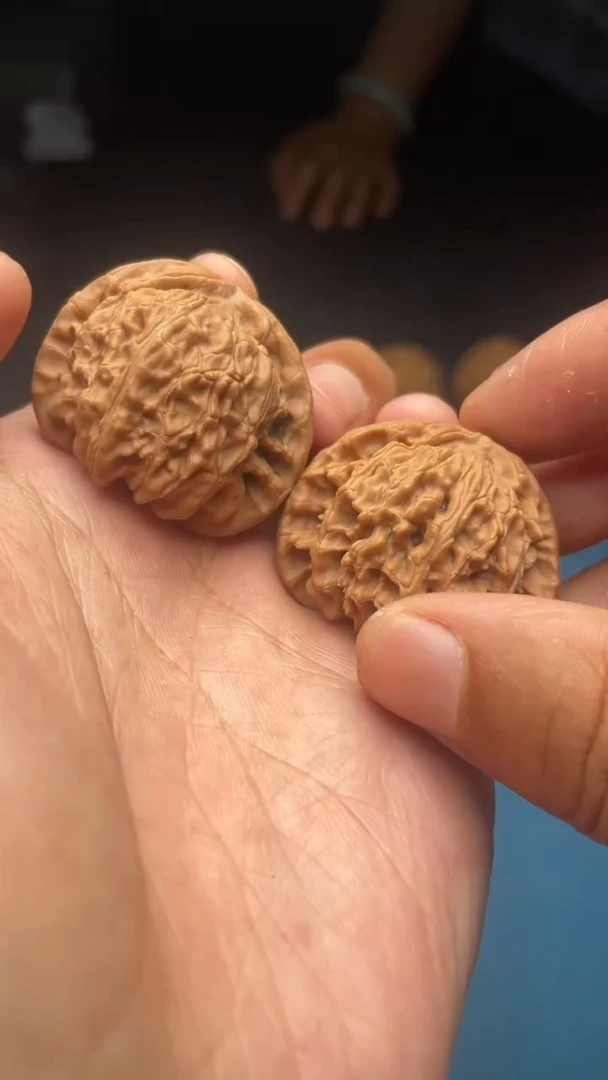 桃核把件a08  白狮子36尺