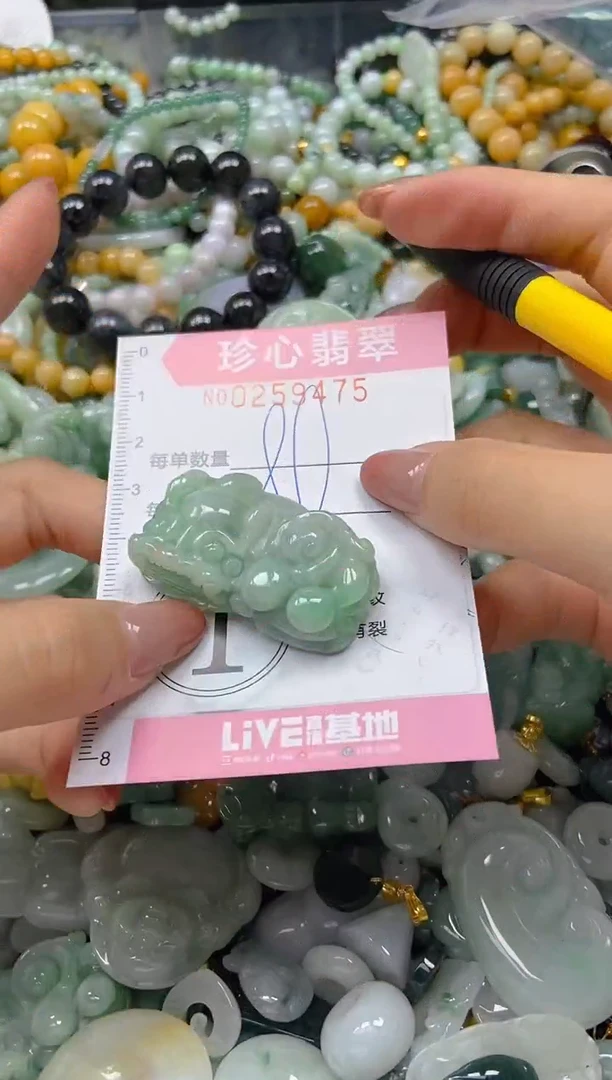 翡翠未镶嵌颈饰闪购0259475