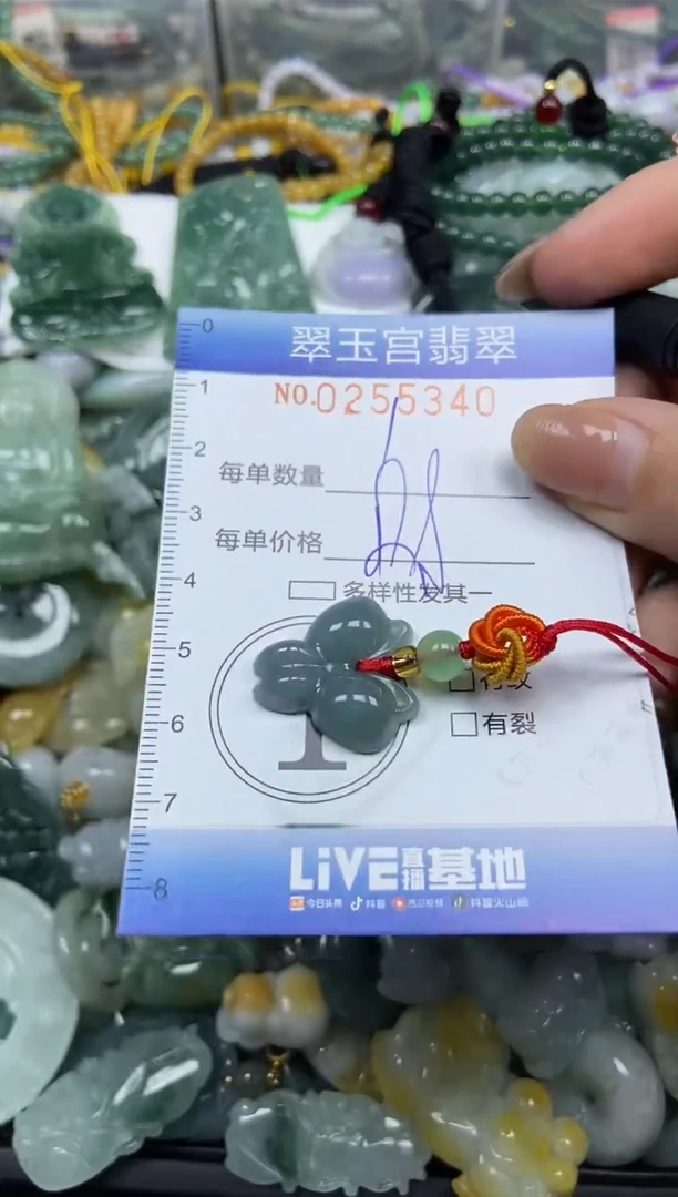 颈饰未镶嵌翡翠闪购C0255340