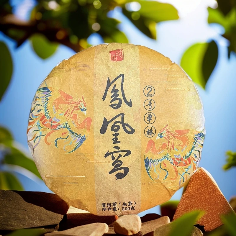 2024年 凤凰窝古树单株【2号单株】200克/饼（普洱茶区）