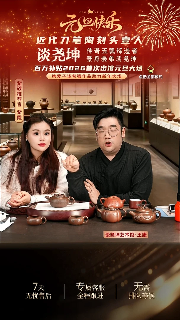 茶壶紫砂紫砂壶谈希强