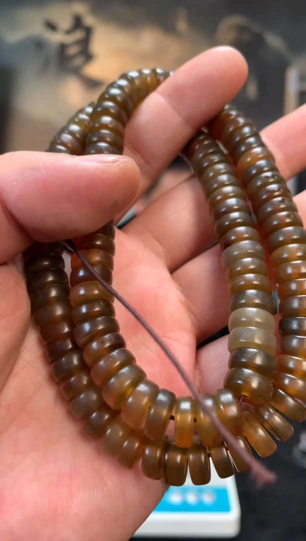 猛犸猛犸猛犸猛犸3