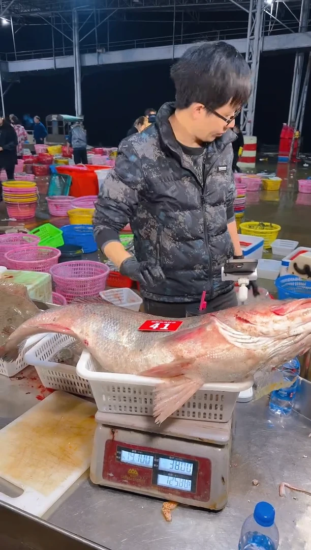 中国大陆源*大鲈鱼1111111111