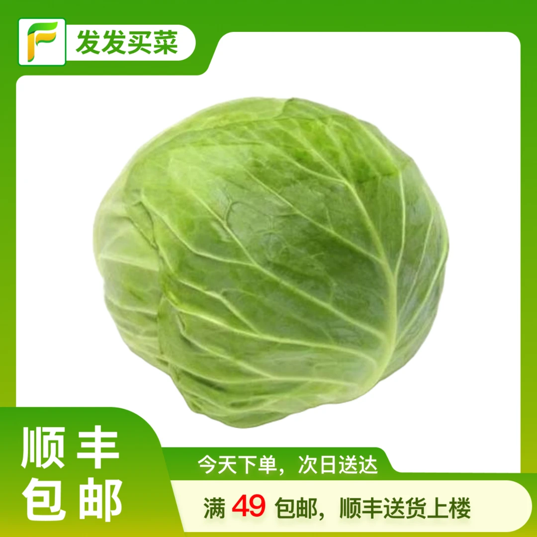 云南绿色食品甘蓝1.1-1.5斤/份（1个，皮薄脆甜无苦涩，适合拌沙拉））绿色蔬菜