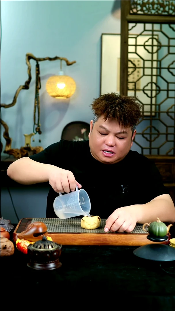 茶壶紫砂宜兴紫砂壶  100cc