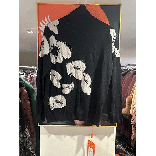 E580   菲姐时尚女士宽松秋冬洋气上衣