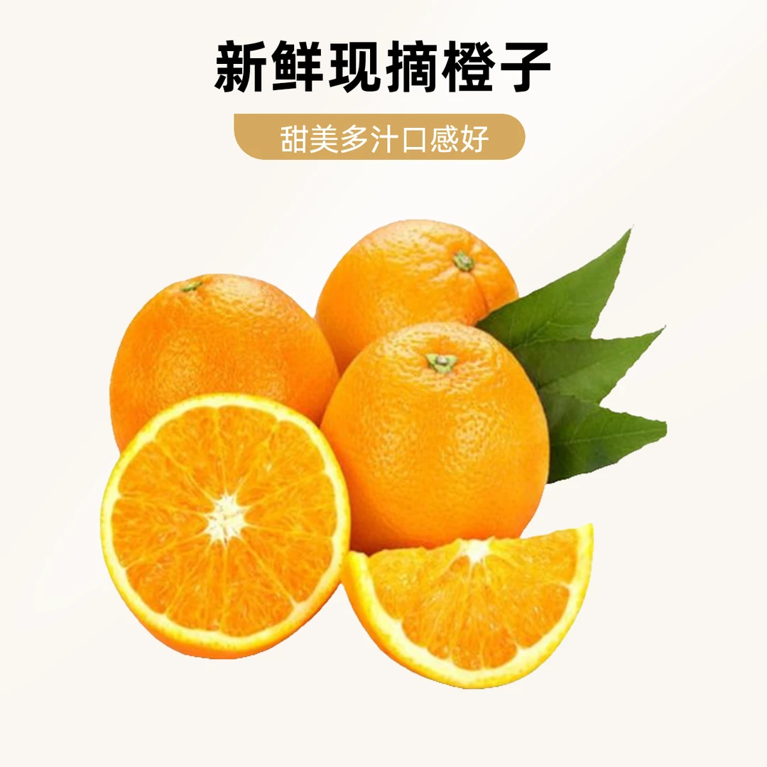 高品质【精选蜂蜜橙】500g/1份 多汁 果肉细腻