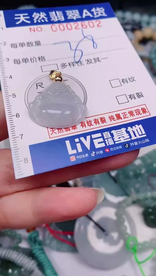 颈饰未镶嵌翡翠00002602