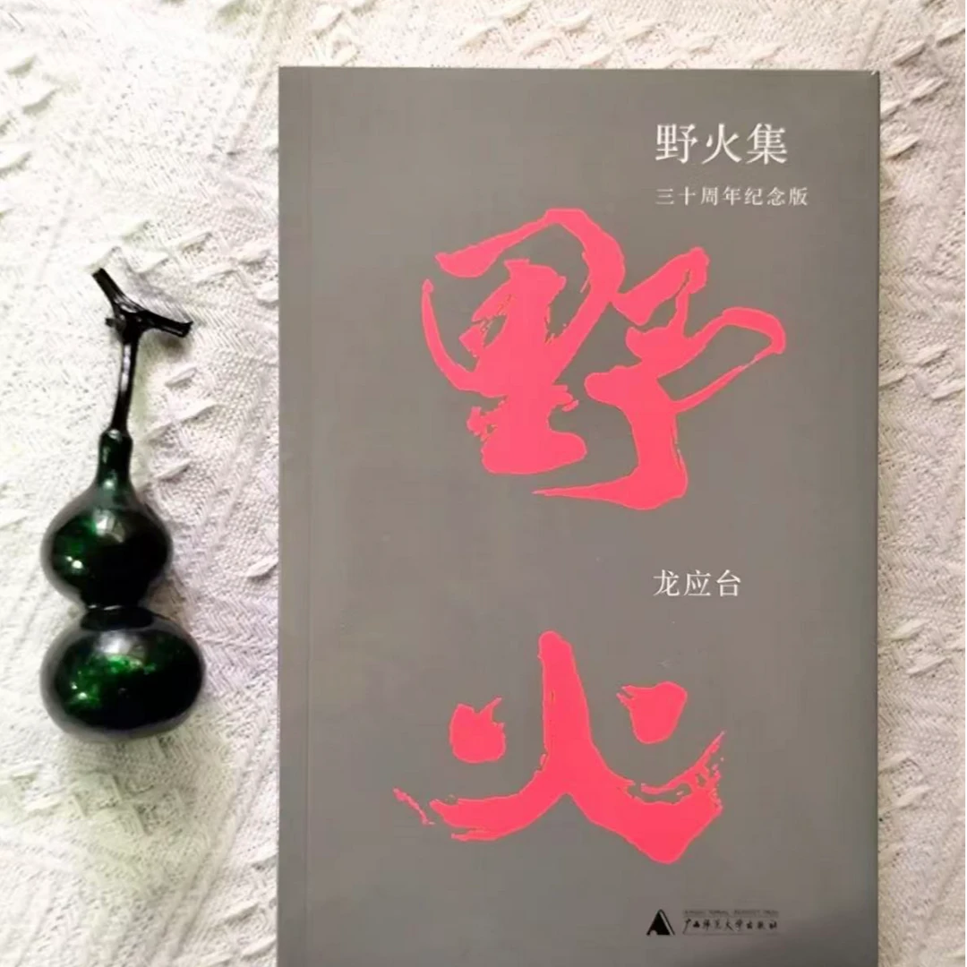 【绝版】野火集 三十周年纪念版 龙应台散文集