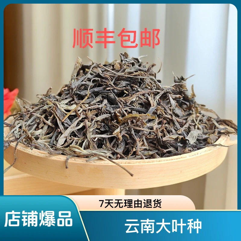 【正气塘】临沧茶2025年 古树春茶散茶