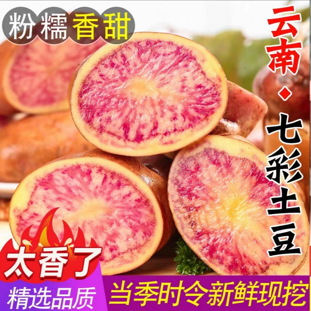 云南七彩土豆现挖新鲜红皮红心小土豆当季蔬菜马铃薯洋芋