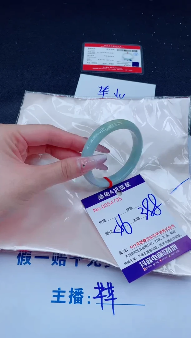 未镶嵌手镯翡翠388